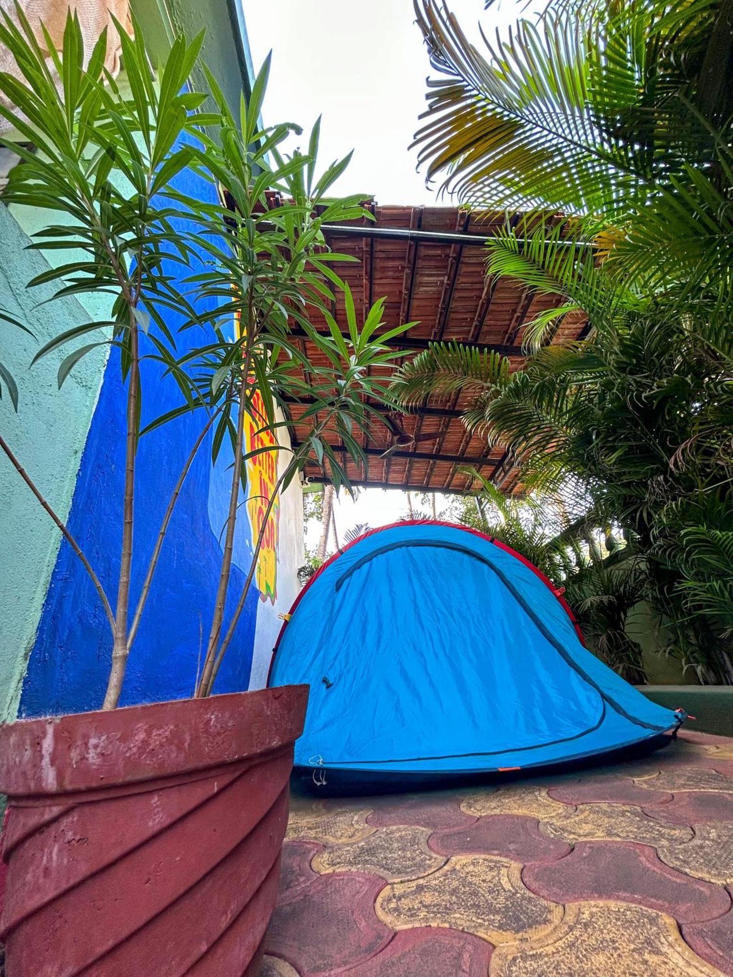 Chapora Baba Hostel By La Voglia المظهر الخارجي الصورة